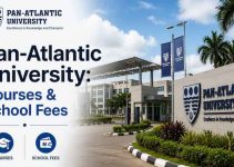 Pan-Atlantic University: Courses, Admission Requirements, & School Fees